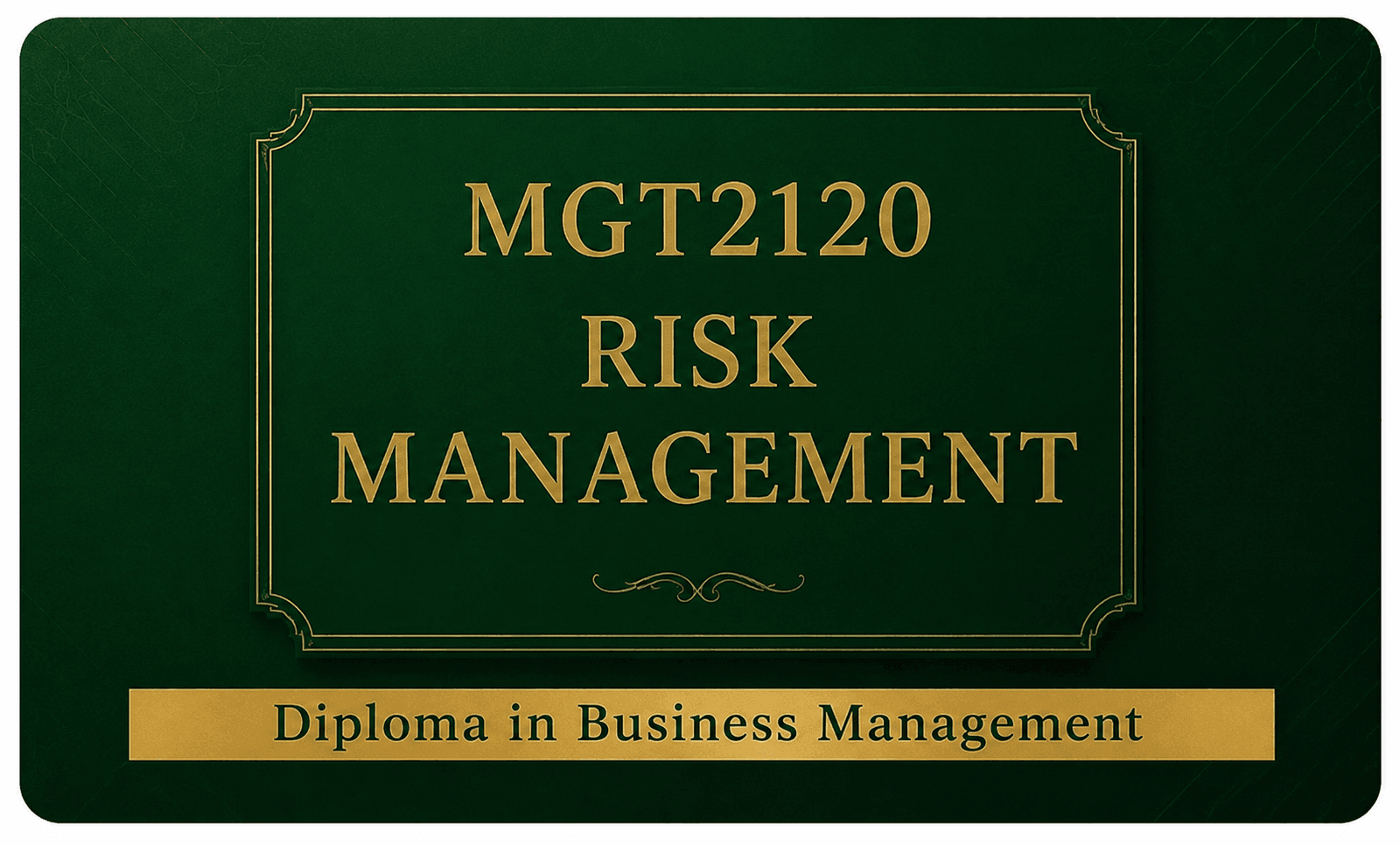 MGT2120 Risk Management